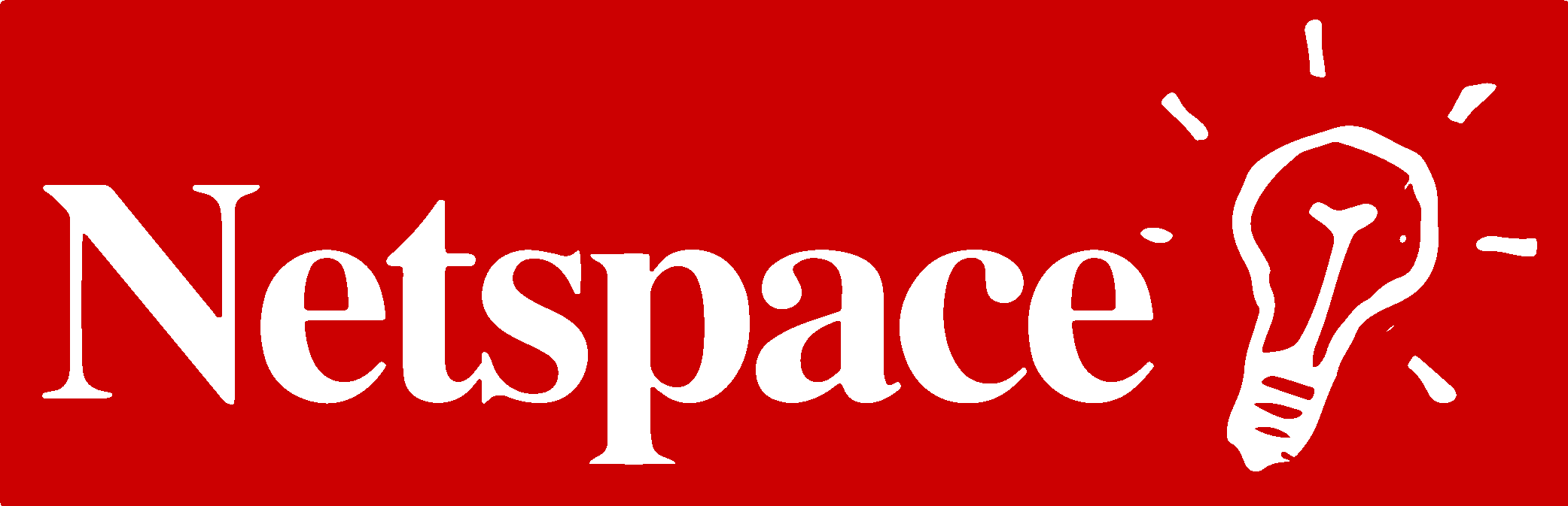 Netspace Logo